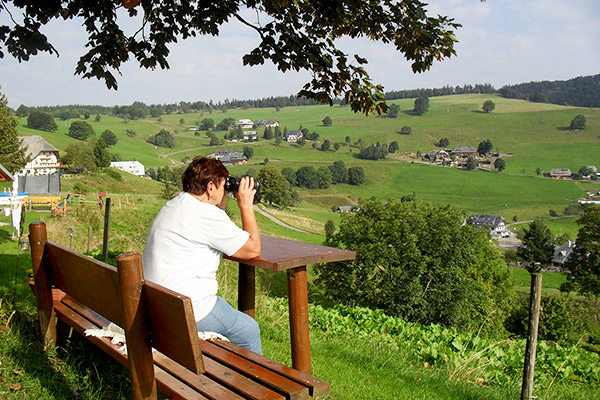 Bühlhof Ferienwohnungen Oberried Hofsgrund / Bauernhof Schwarzwald