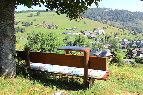 Bühlhof Ferienwohnungen Oberried Hofsgrund / Bauernhof Schwarzwald