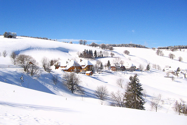 Bühlhof Ferienwohnungen Oberried Hofsgrund / Bauernhof Schwarzwald