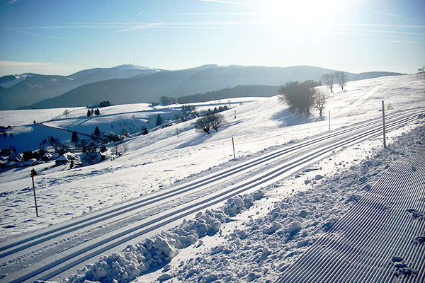 Bühlhof Ferienwohnungen Oberried Hofsgrund / Bauernhof Schwarzwald