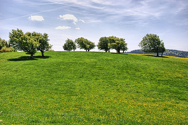 Schauinsland im Schwarzwald